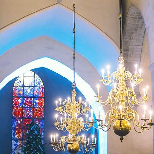 International Niguliste Organ Week